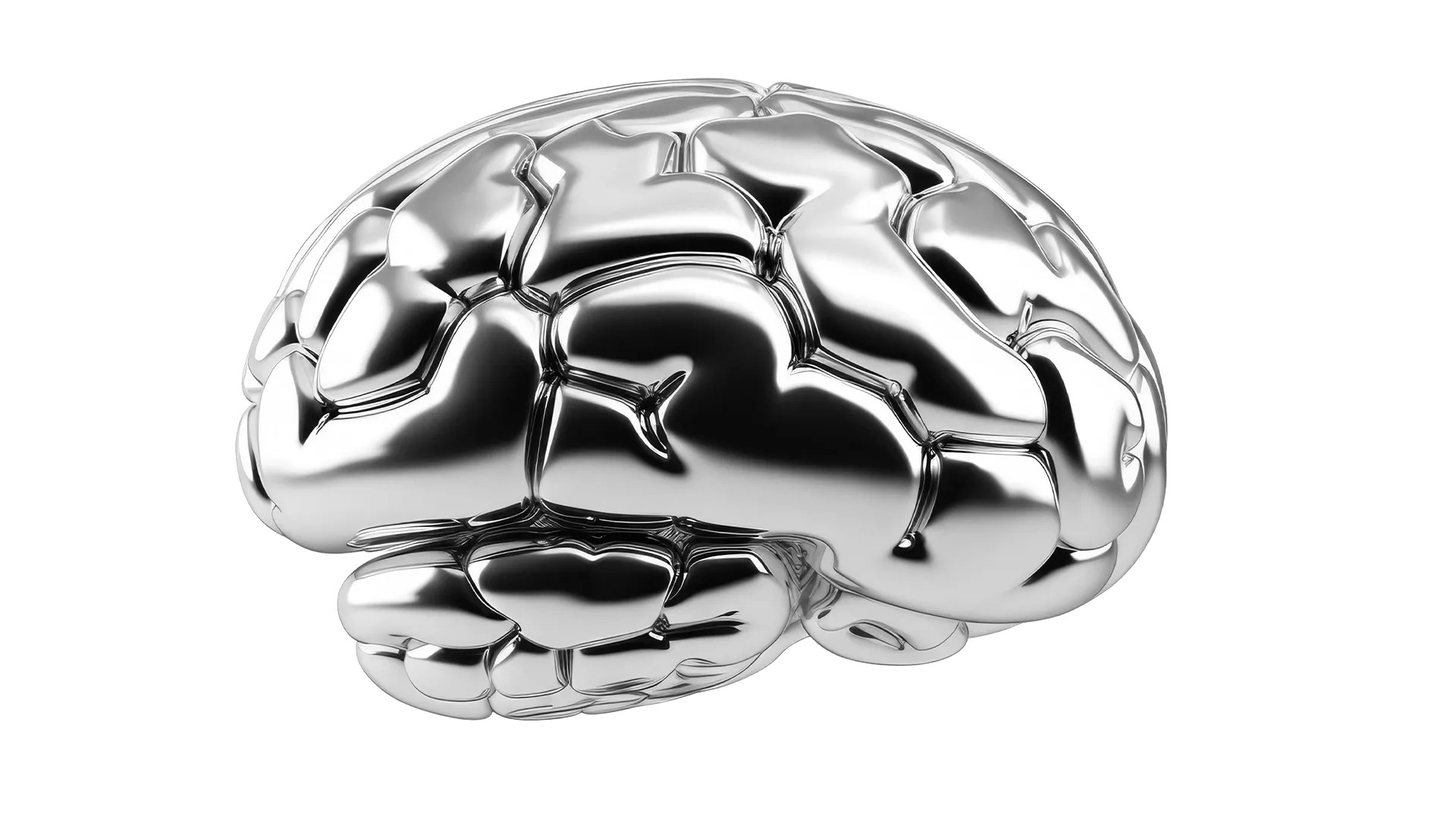 Intelligence